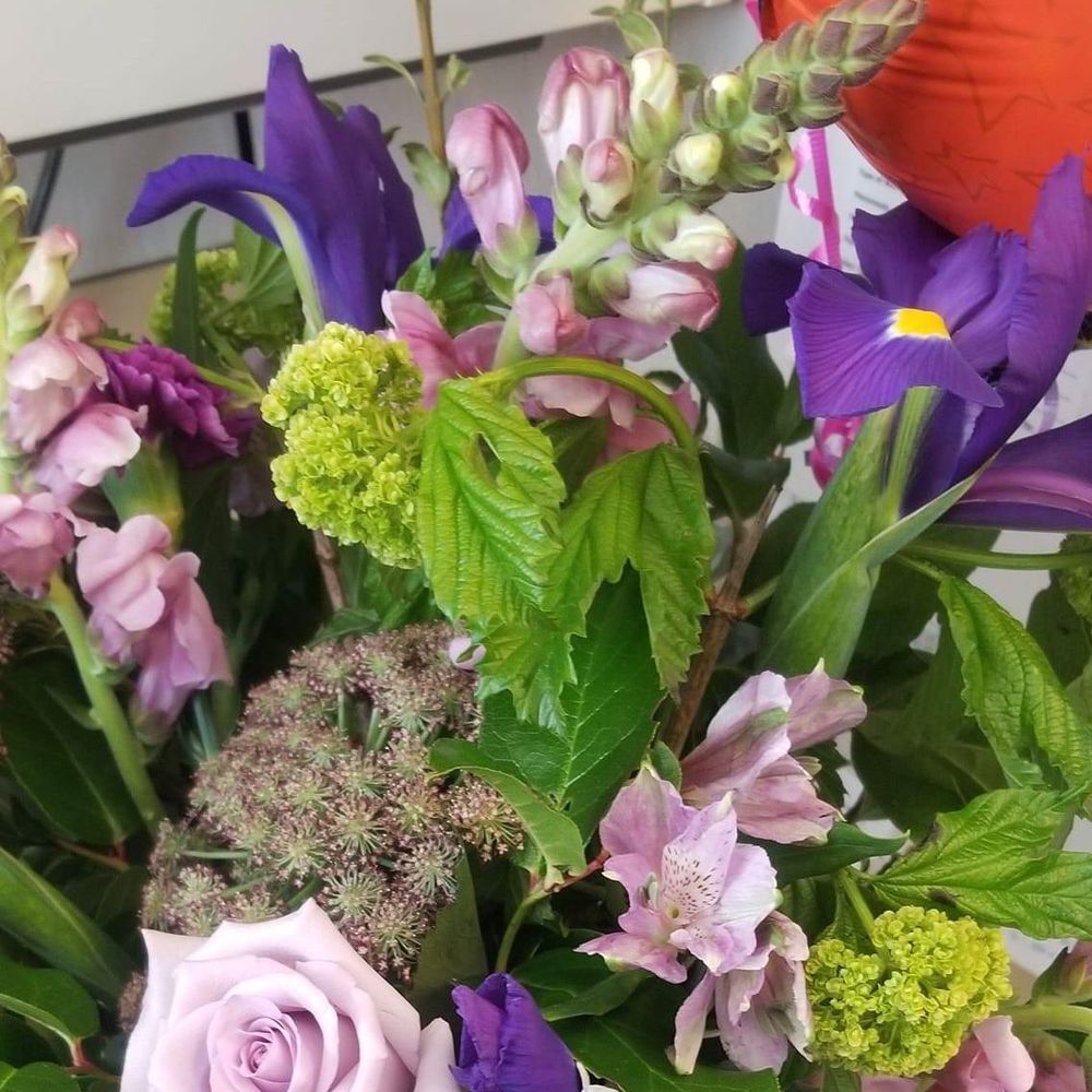 Meet your Posher, Crystal